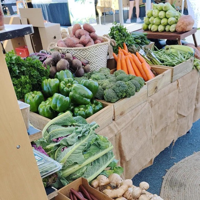 Farmer’s Market Shopping Tips | Georgia High Obesity Program