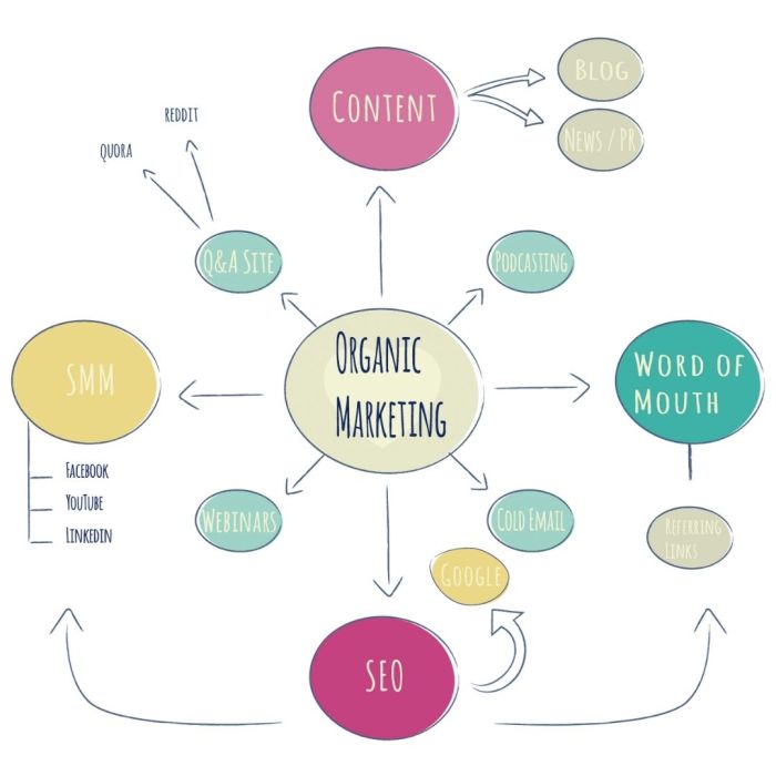 What is Organic Marketing? Benefits, Strategy, Tools, Services