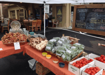 Farmers Market Health Tips: A Guide to Nutritious Choices