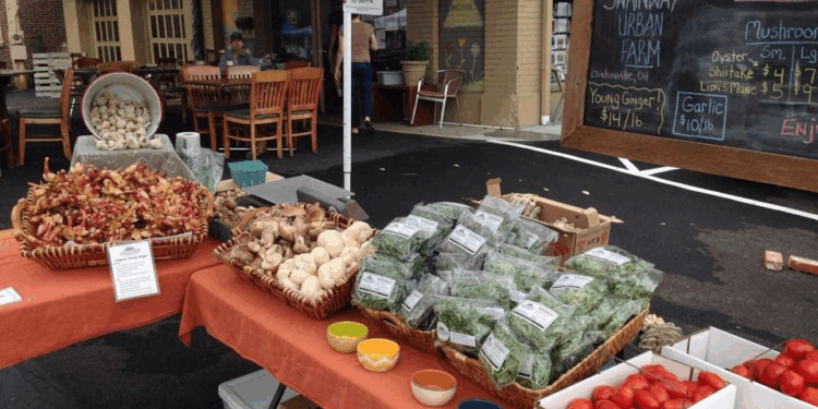 Farmers Market Health Tips: A Guide to Nutritious Choices